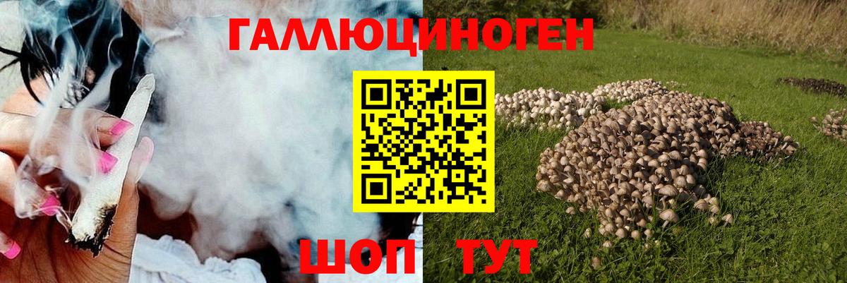 Псилоцибиновые грибы мухоморы  Вход с VPN  Галлюциногенные грибы Psilocybe  Донской 